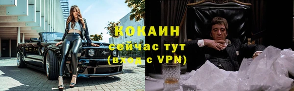соль ск Абаза