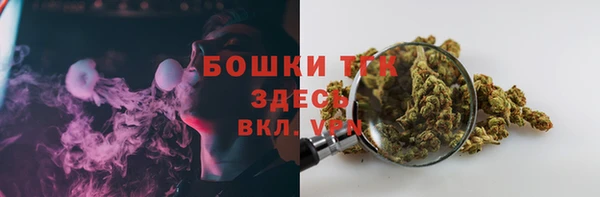 соль ск Абаза