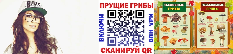 что такое наркотик  Щучье  Псилоцибиновые грибы Cubensis 